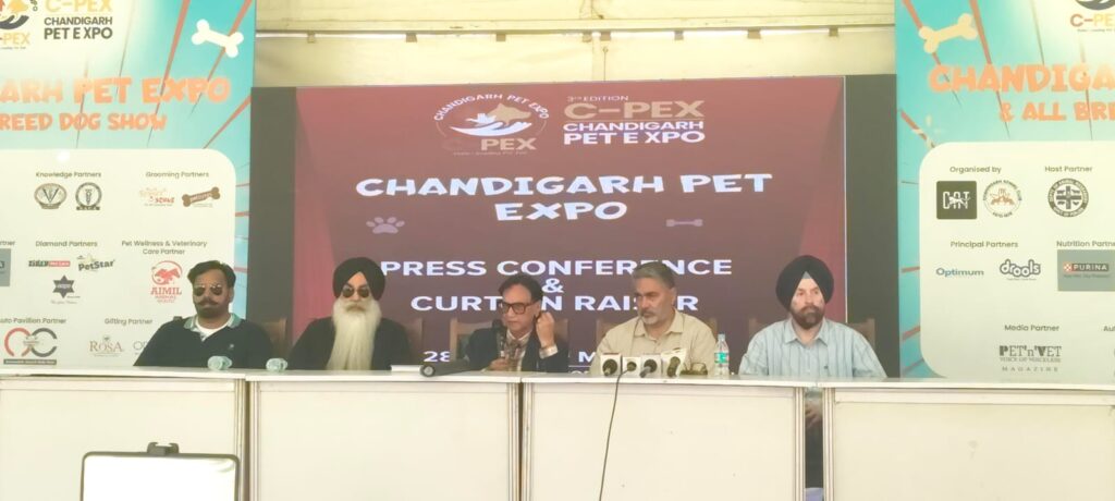 WhatsApp Image 2026 02 27 at 15.44.29