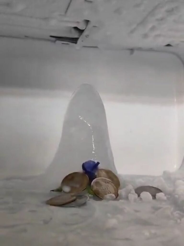 Agra Ice Shivaling in Fridg