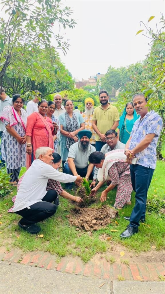 काउंसलर हरदीप सिंह बुटेरला ने 'वन-महोत्सव सप्ताह' के तहत लगाए पौधे 1 article16483